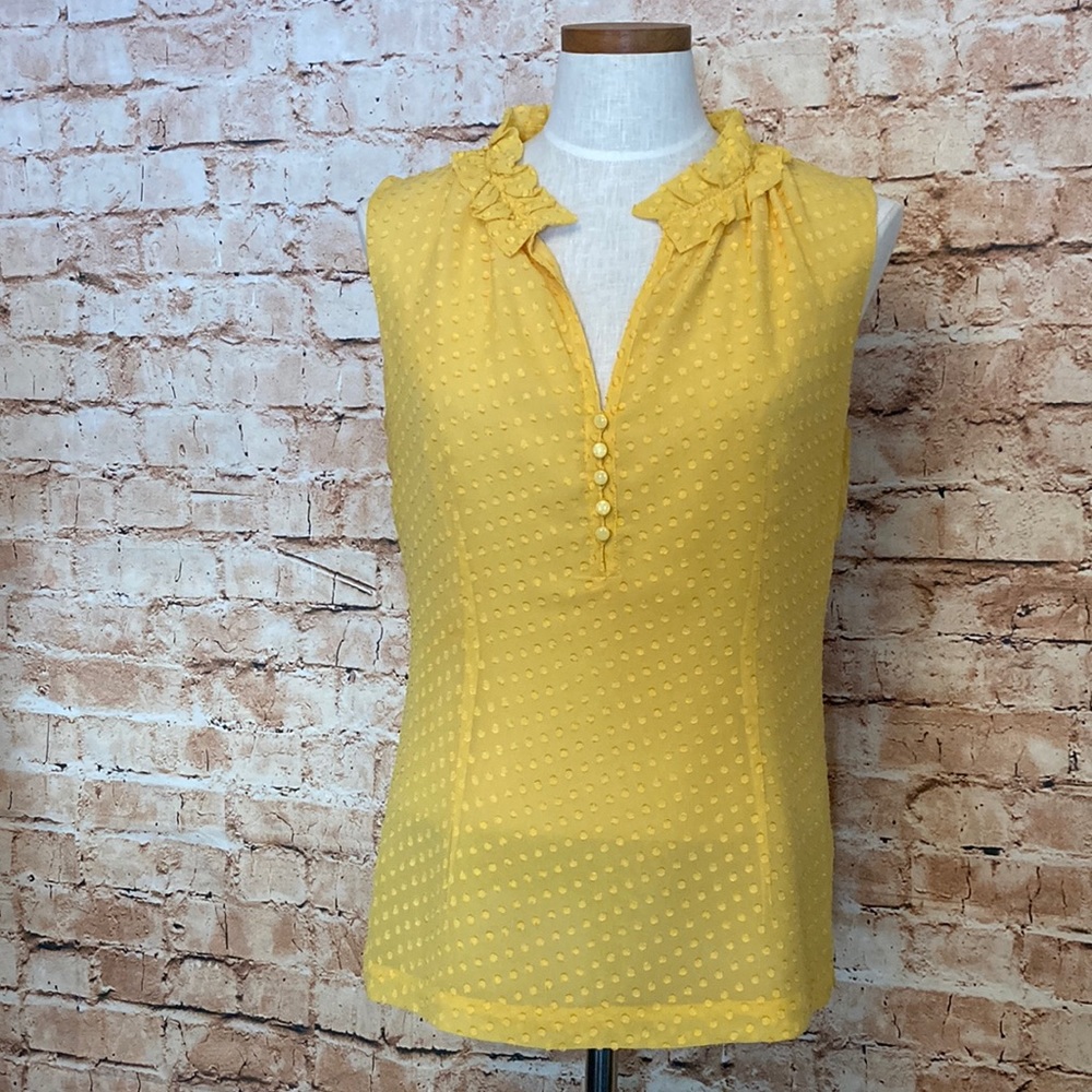 Classiques Entier Silk blend top